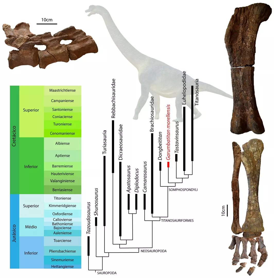 Descoberta uma nova espécie de dinossauro gigante na Península Ibérica