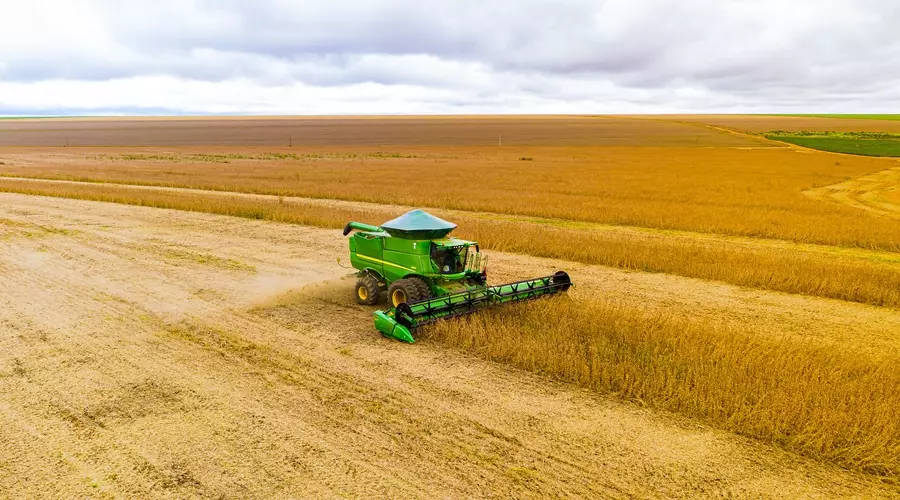 A pedido do MPF, Ministério da Agricultura revê procedimento de alteração do calendário da soja no MT