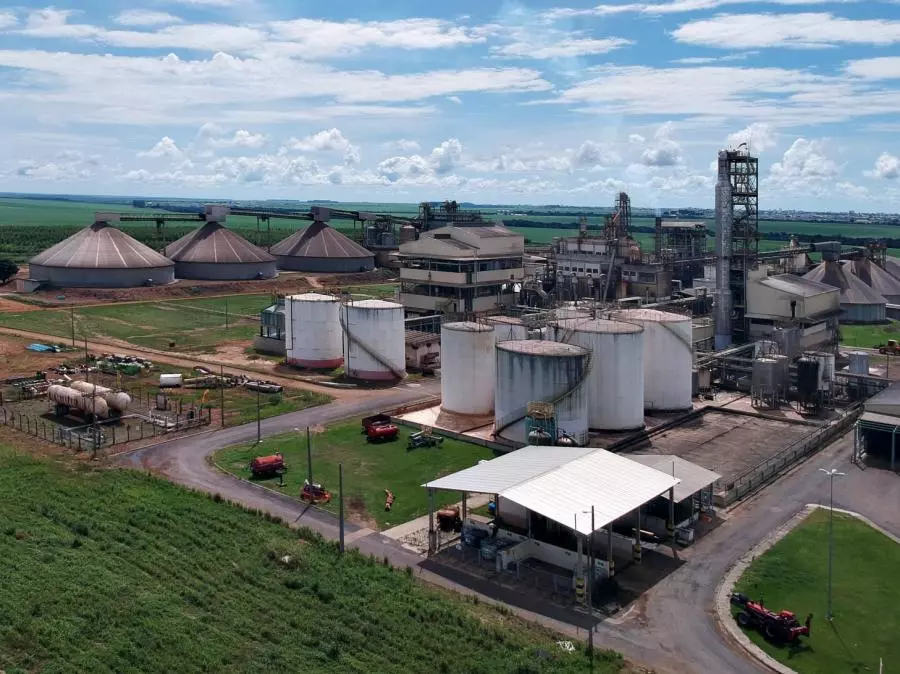 Primavera comemora o dia do trabalhador com mutirão do trabalhador