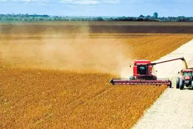 Agro em MT sofre disparada no número de pedidos de recuperação judicial