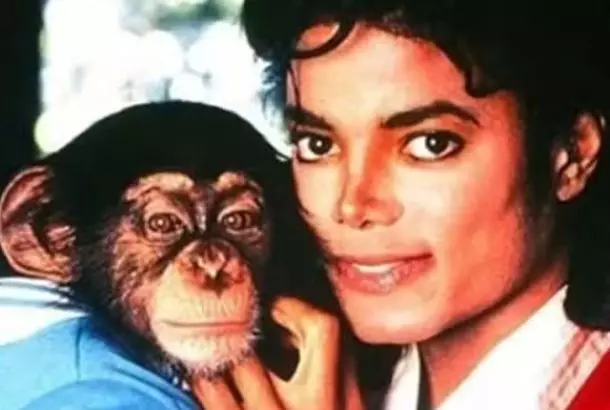 Macaco de Michael Jackson recebe R$ 163 mil por ano