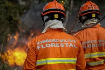 Polícia prendeu 16 pessoas por queimadas em florestas em MT