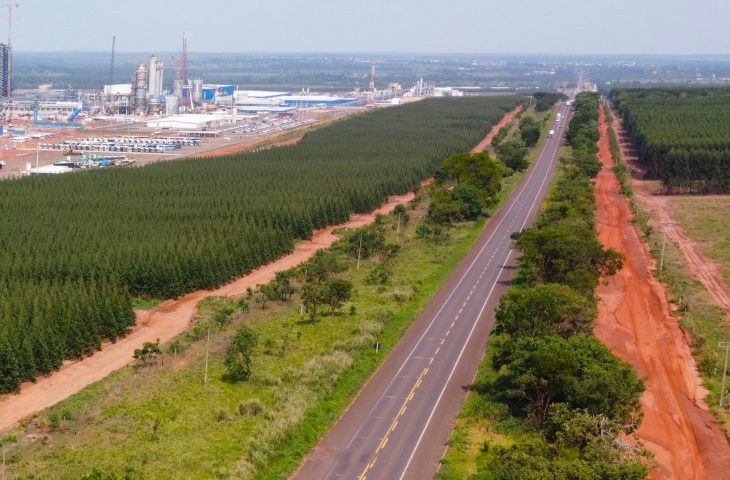 Leilão da Rota da Celulose, sem interessados, será reagendado