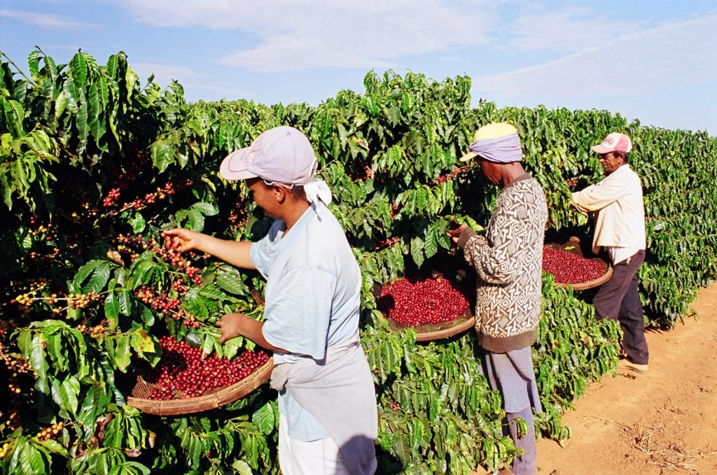 No nosso café há trabalho escravo