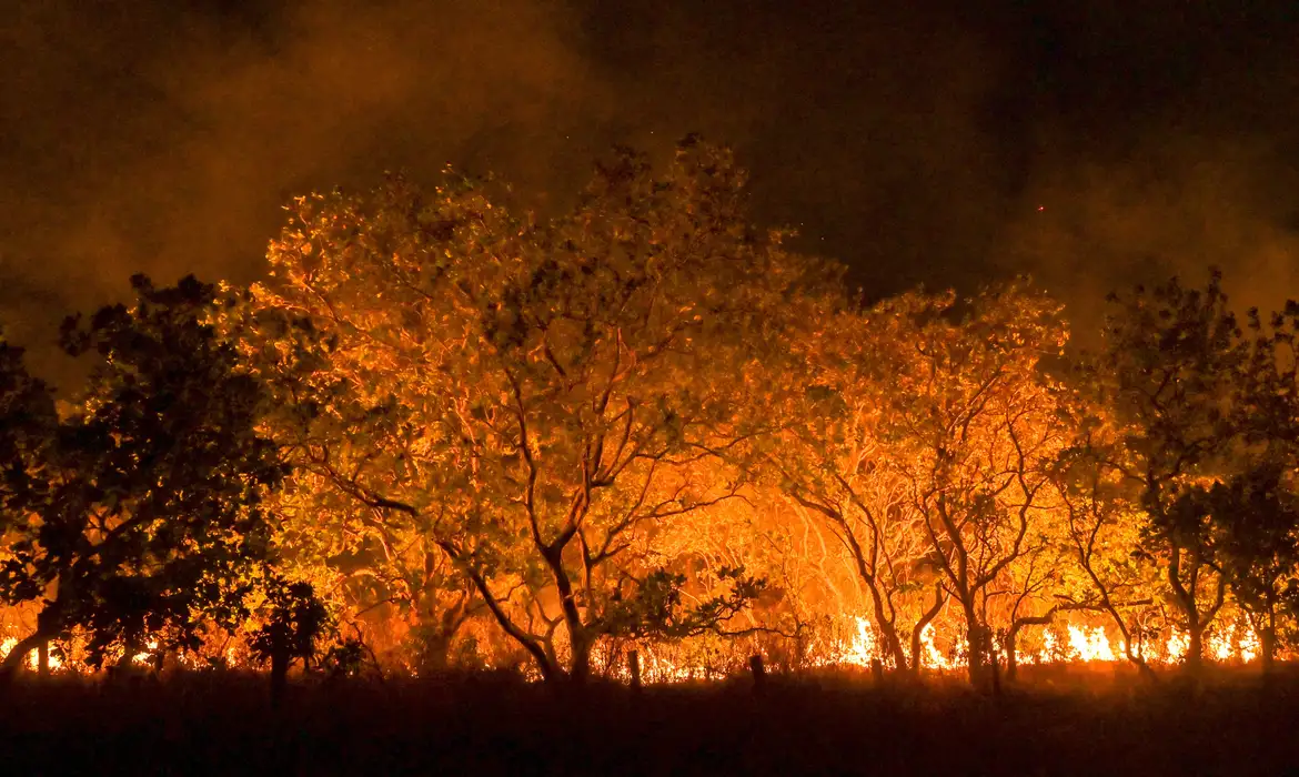 Os responsáveis  pela crise climática: a burguesia agrária e a extrema direita