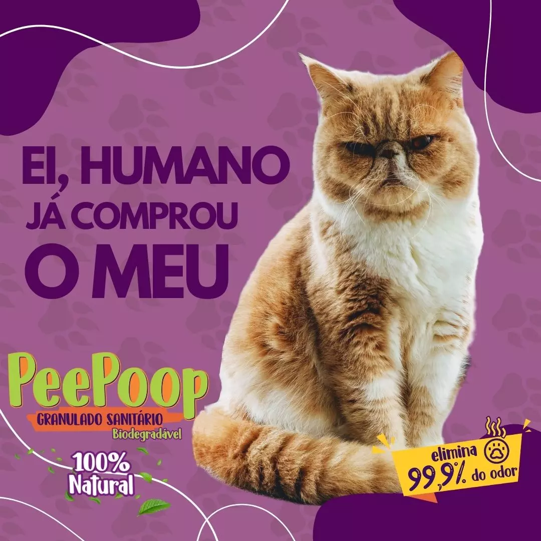 Imagem Segundaria do Produto