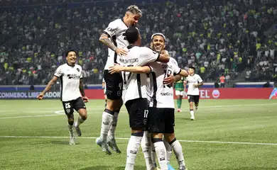 Botafogo segura empate com Palmeiras e avança na Copa Libertadores