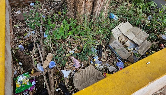 Ao contrário de prevenir, Prefeitura mantém criadouro da  dengue ao lado da Secretaria de Saúde