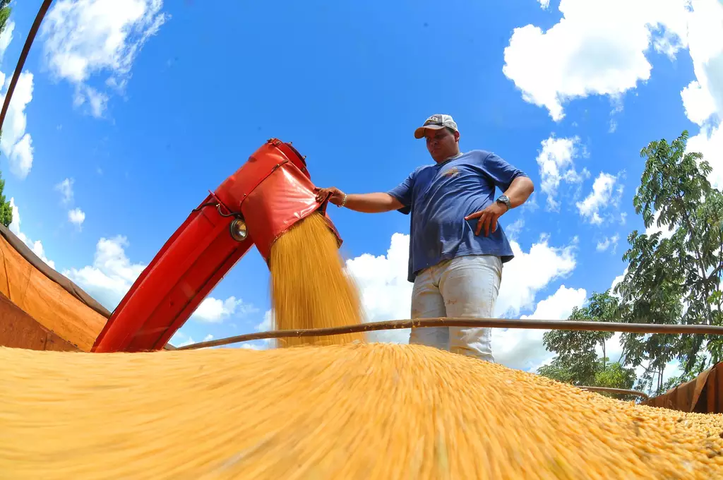 MS teve o 3º maior crescimento econômico do Brasil, aponta BB