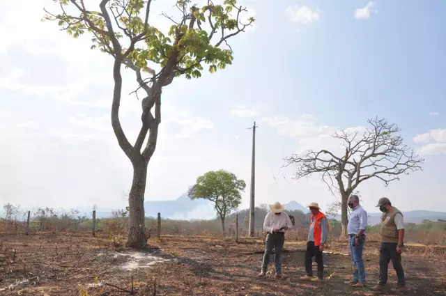 Só em MS, desmatamento do Cerrado emitiu 3 milhões de toneladas de CO2