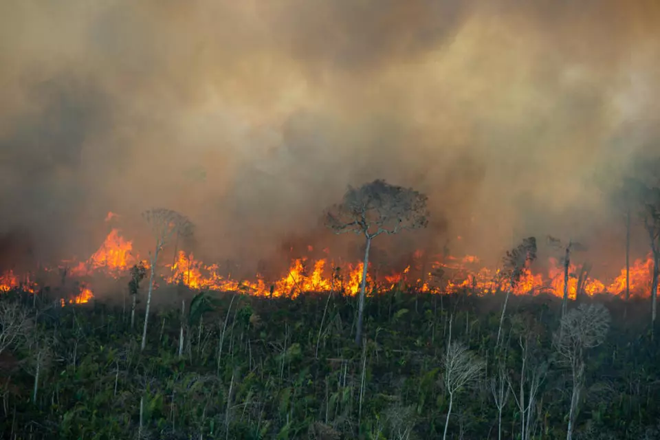 AGU pede R$ 89 milhões em indenização por queimadas na Amazônia, incluindo áreas em Rondônia