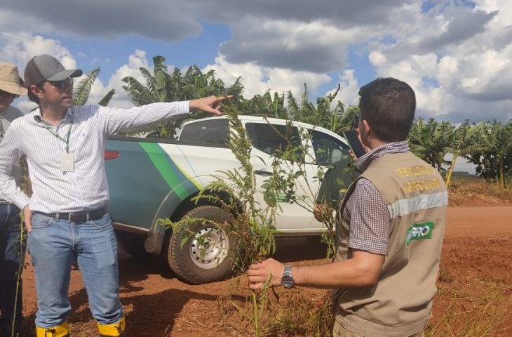 Governo de MS publica abertura de concurso da Iagro para médico veterinário