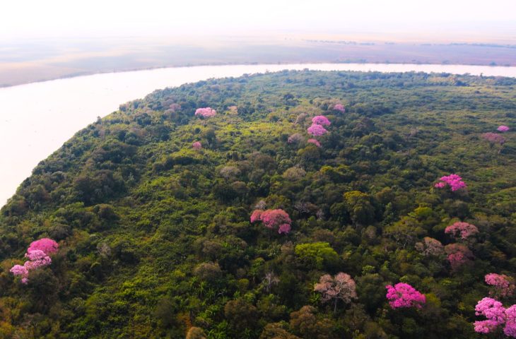 Plano Clima Participativo: plenária em Campo Grande aborda o bioma Pantanal