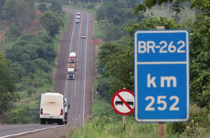 Governo lança edital público de licitação da Rota da Celulose