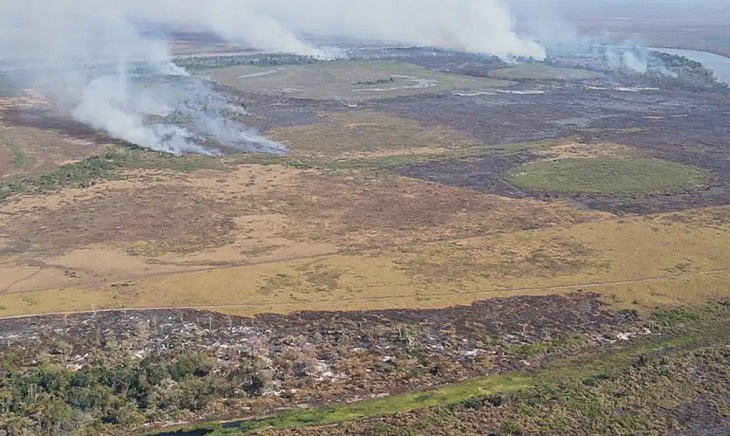 Emissão de gases por incêndios é recorde no Amazonas e Mato Grosso do Sul