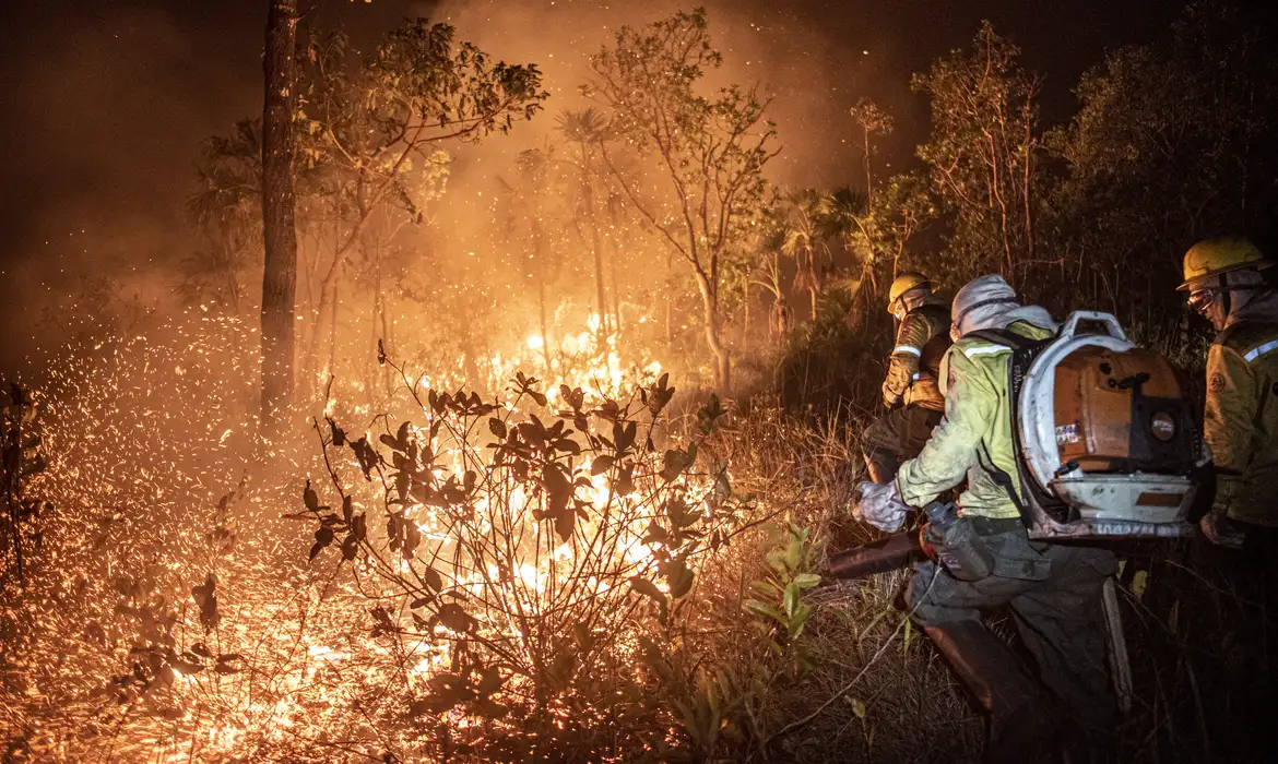 Manejo com fogo, contrafogo e queimada - entenda a diferença