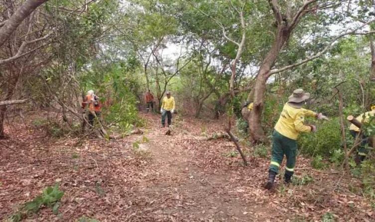 Enquanto chuva não chega, aceiros e brigadistas protegem comunidades do fogo no Pantanal