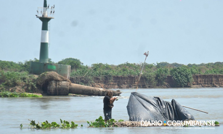 Risco de acidentes com arraias aumenta com rio seco, alerta biólogo