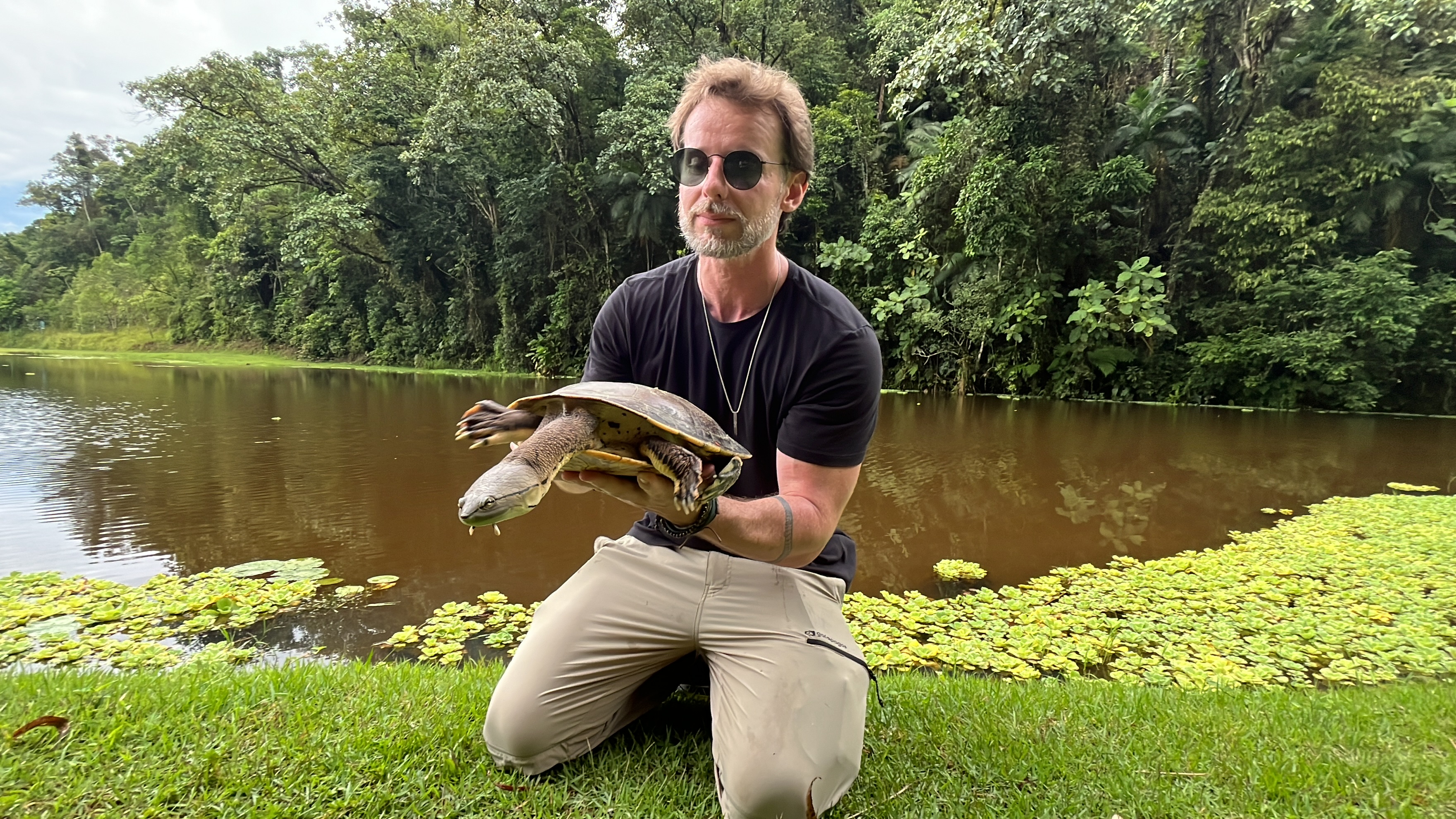 Espécie rara de cágado é resgatada e solta no Parque da Inovação em Jaraguá do Sul