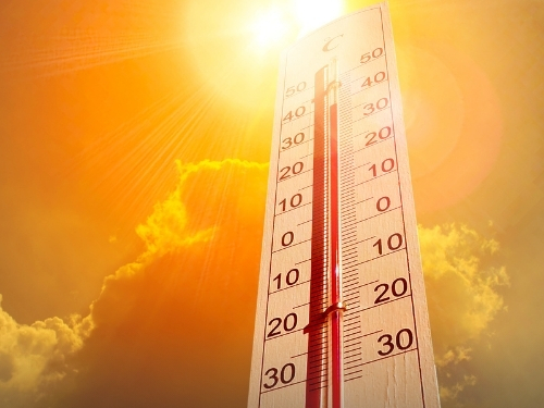 Homem de 58 anos morre em Joinville, SC, devido à onda de calor extrema nesta quarta-feira (12)