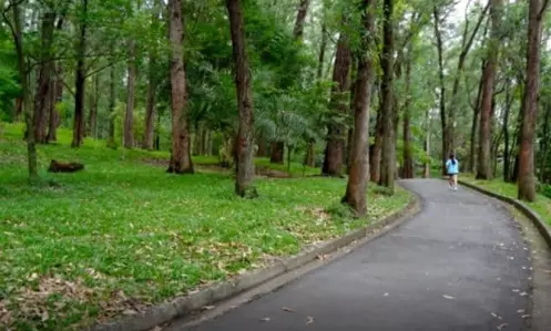 Conheça as atrações ao ar livre do Parque da Aclimação