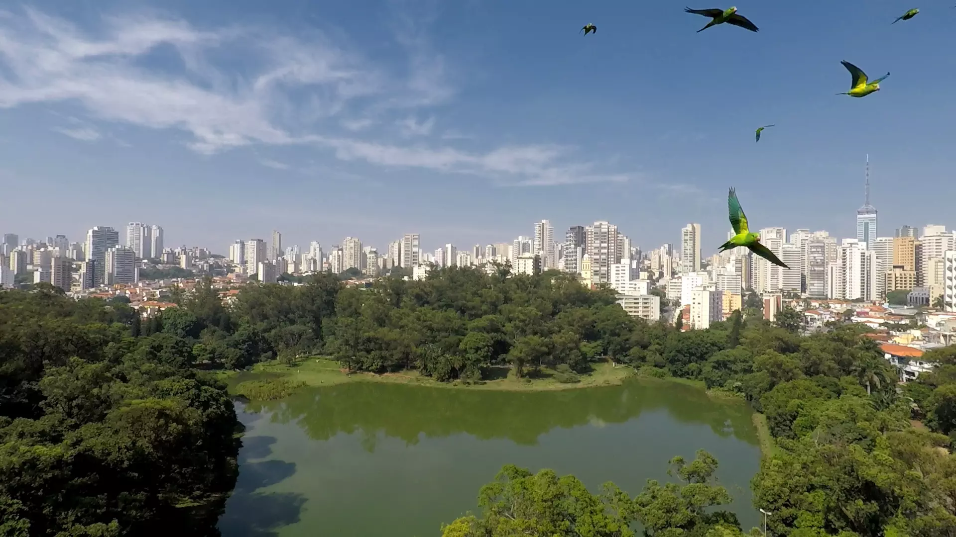 Parques em São Paulo: O que fazer no Parque da Aclimação