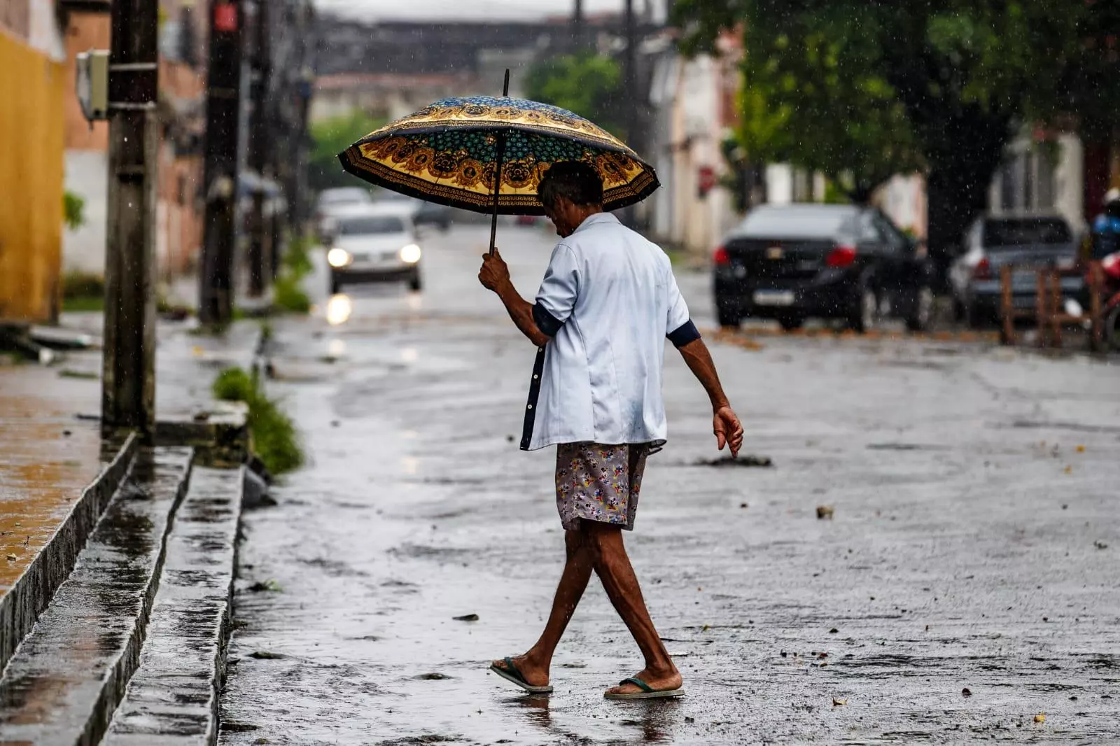 A chuva no estado de São Paulo