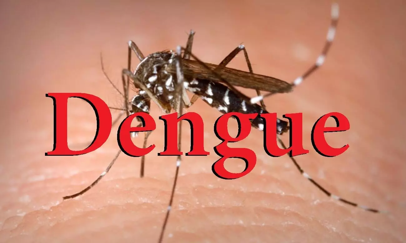 São Carlos registra 29553 mil notificações para Dengue