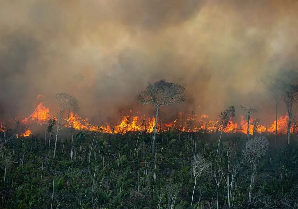 Terras indígenas e grandes fazendas concentram mais da metade da área queimada em 2024