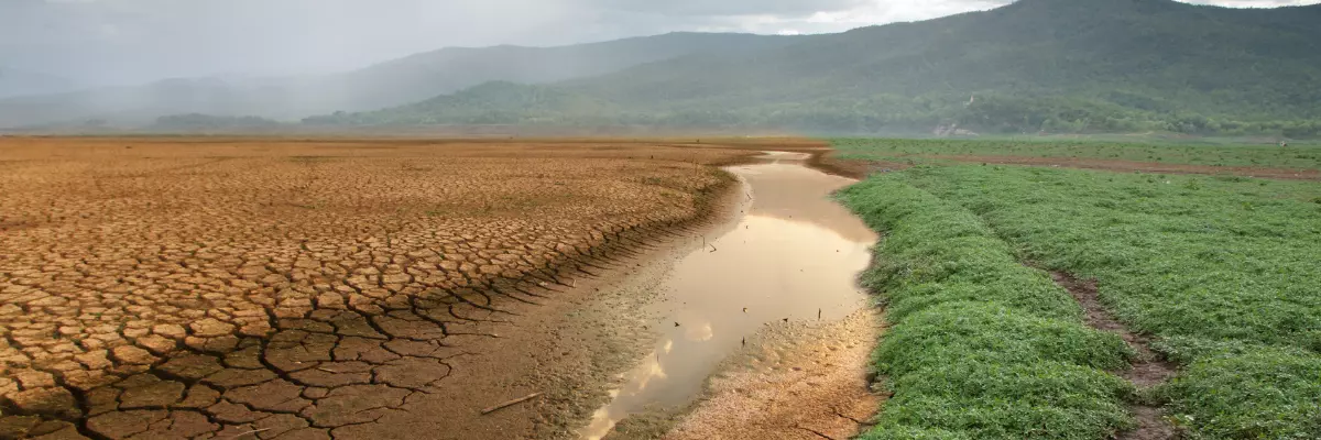 O colapso socioambiental alcança escala planetária