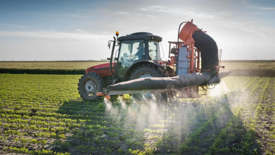 China suspende importação de soja de 5 empresas brasileiras por contaminação de agrotóxicos