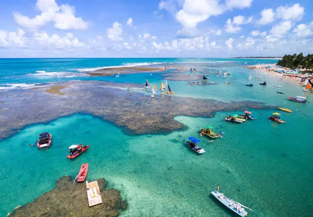 Transfer para Porto de Galinhas