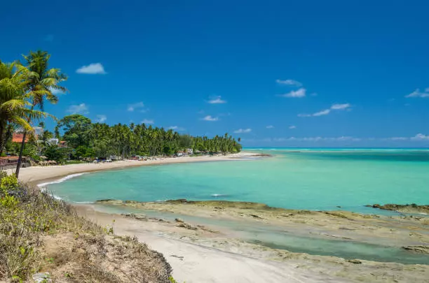 Passeio Para Maragogi