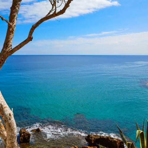 As Melhores Rotas de Navegação para Explorar a Costa Brasileira