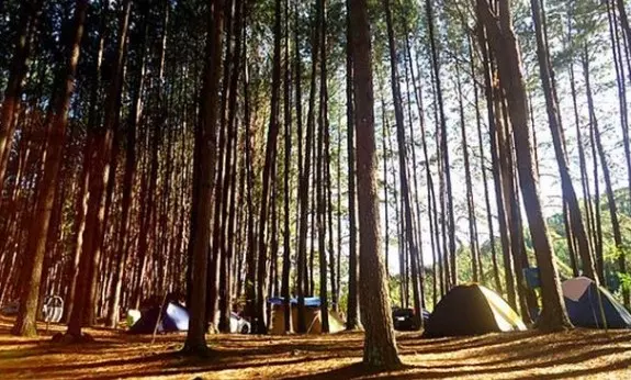 Em barracas: 5 cenários perfeitos para acampar no Brasil Em barracas: 5 cenários perfeitos para acampar no Brasil