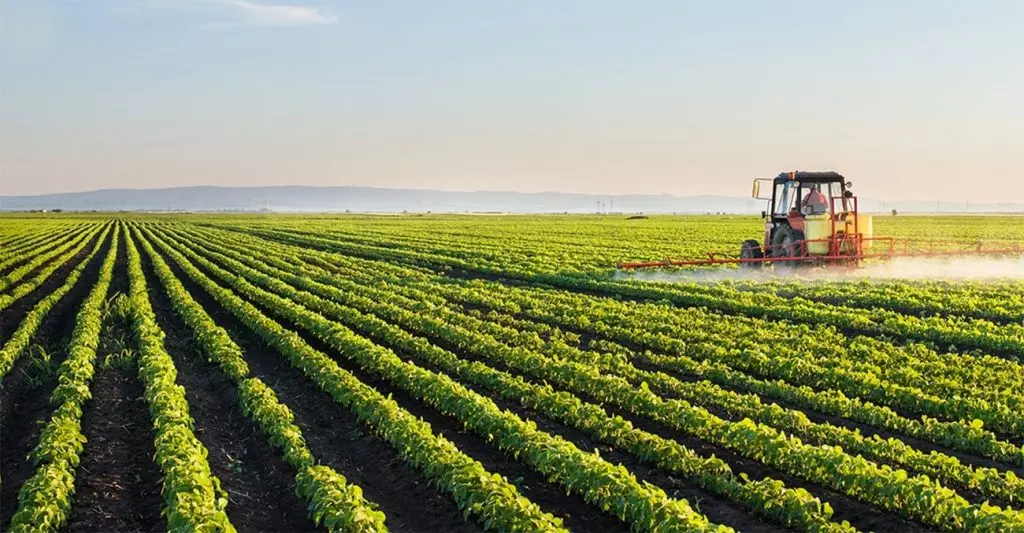 Preços pagos pelos produtos do agro recuam 13% no 1º semestre