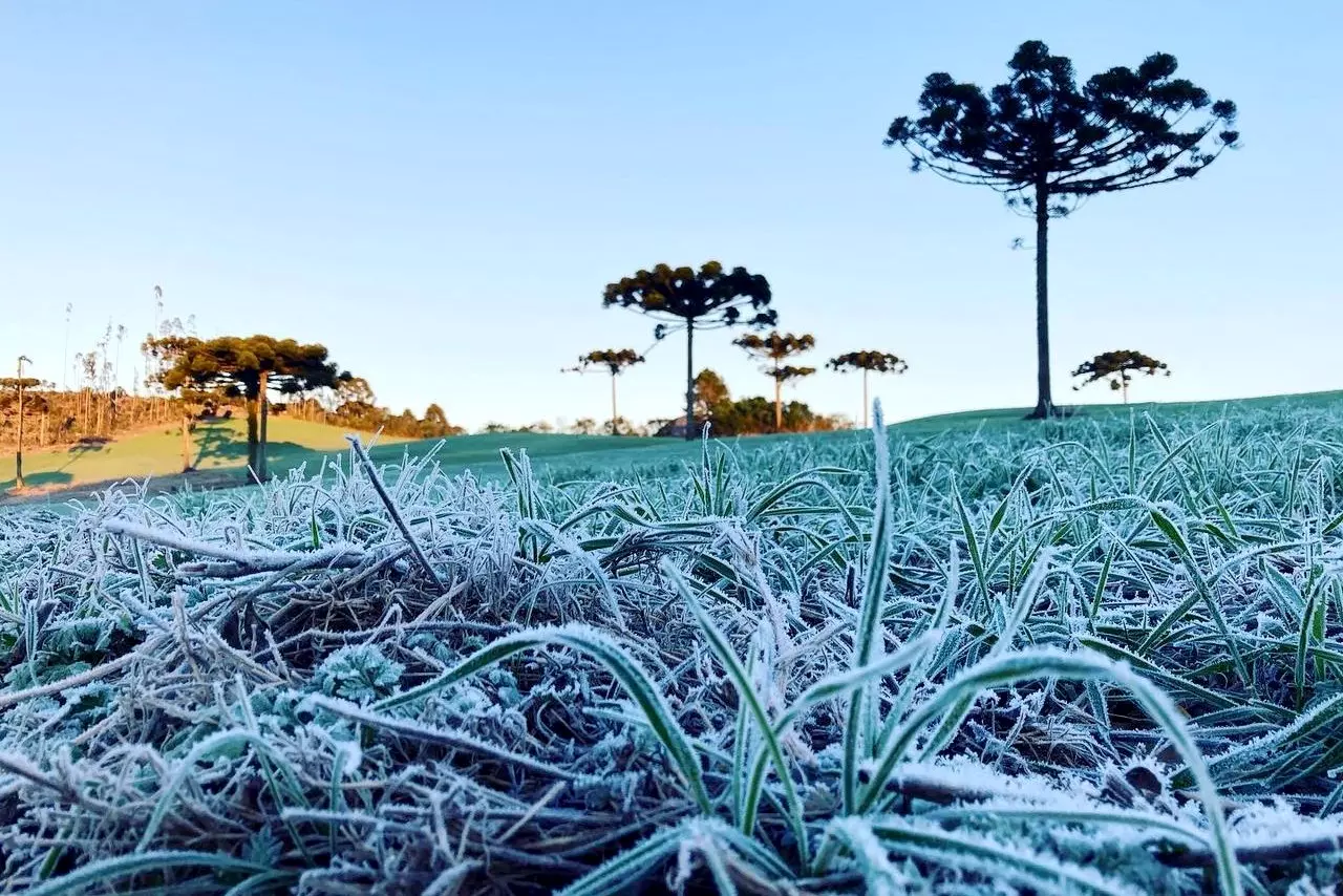 Frente fria deve provocar 1° geada do ano no Paraná neste fim de semana