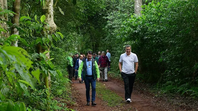 Parque Nacional do Iguaçu reabre os caminhos do Poço Preto e das Bananeiras