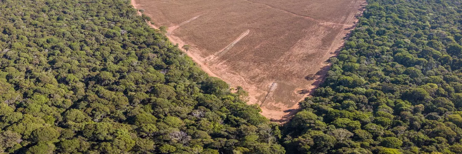 Cartilha orienta produtores rurais com imóveis em faixa de fronteira