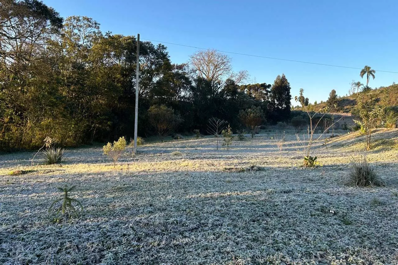 15 cidades com temperatura abaixo de zero e -5,3°C: 13 de agosto foi o dia mais frio do ano