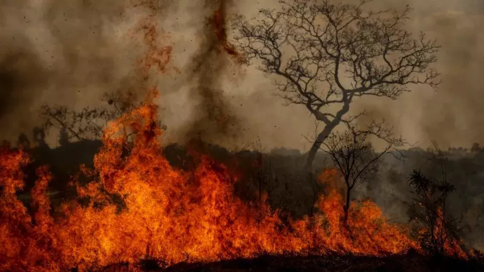 Brasil registrou mais de 68 mil focos de queimadas em agosto, diz Inpe