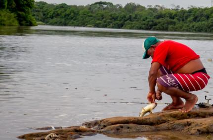 PSD aciona o Supremo para barrar Lei da Pesca no Estado