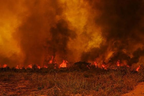 Efeitos das mudanças climáticas esperadas em 2060 no Pantanal já são sentidas hoje