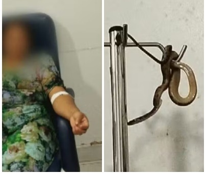 Cobra cai do teto em cima de suporte de soro em posto de saúde