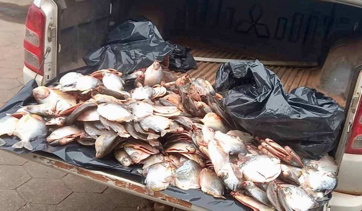 Sema e PM apreendem 45 kg de pescado e aplica R$ 19 mil em multa em Várzea Grande