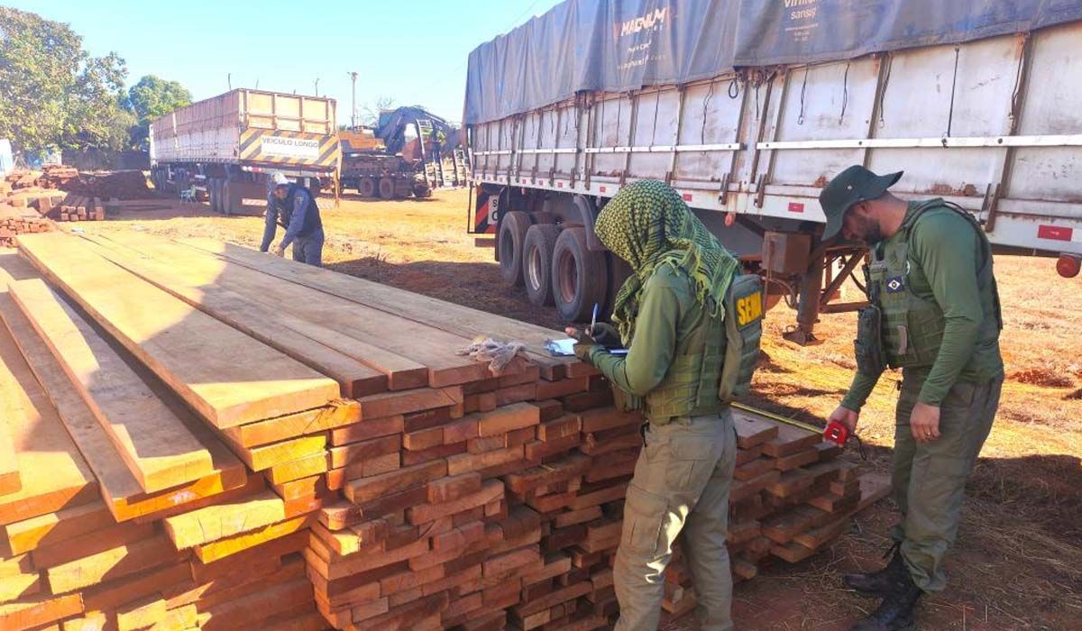 Sema e PM apreendem carretas com castanheiras durante fiscalização no interior de MT