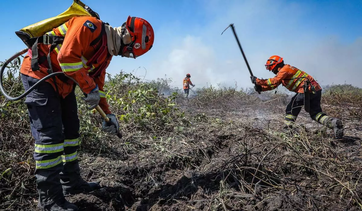 Bombeiros alerta para estiagem severa e pede apoio da população na prevenção de incêndios florestais