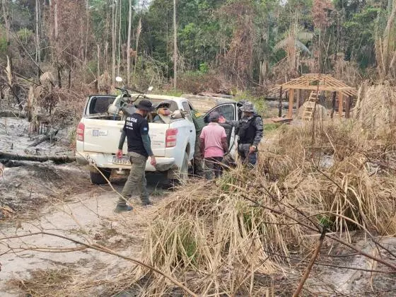 Operação combate crimes em reserva ambiental em MT