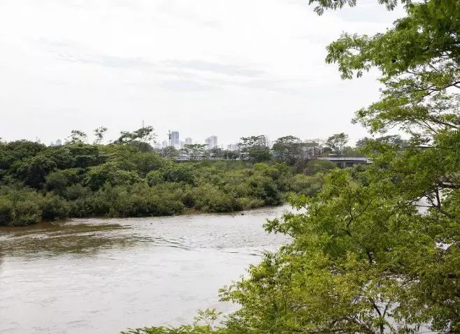 Defeso da Piracema em Mato Grosso será entre 1º de outubro e 31 de janeiro