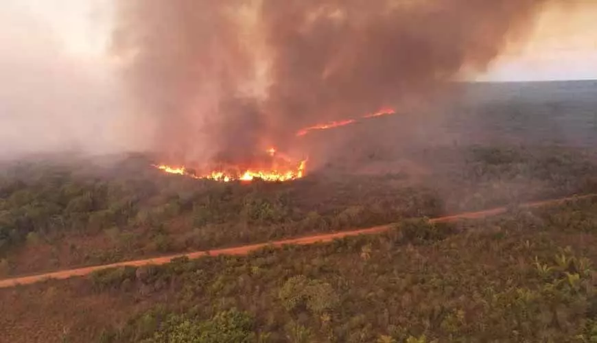 Brigadista desaparece durante combate a incêndio e é encontrado morto carbonizado em MT